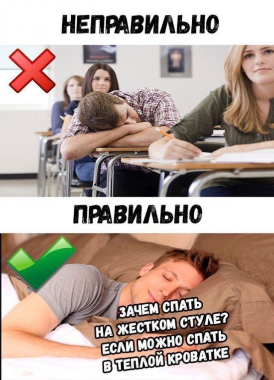 Юмор и шутки из социальных сетей