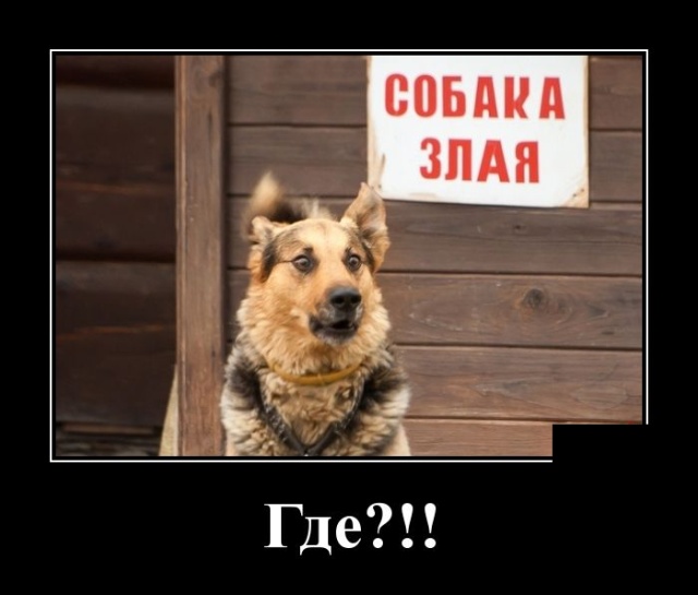 Демотиваторы