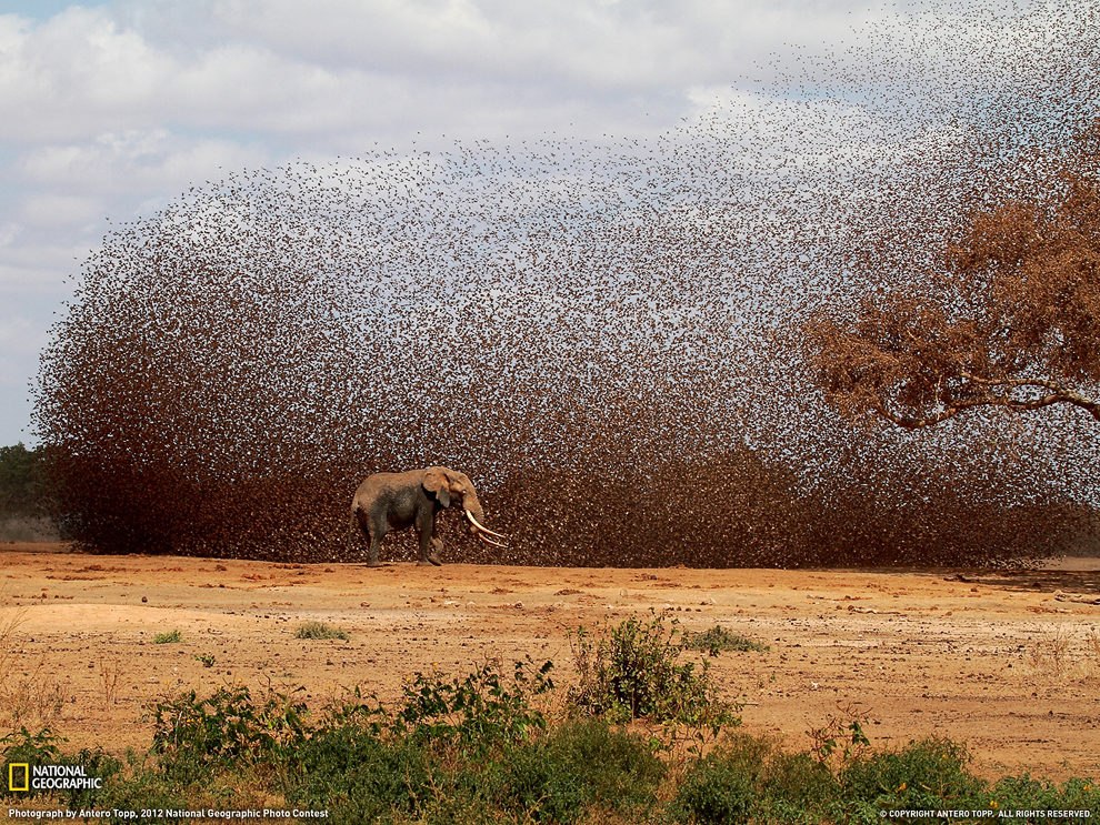 National Geographic: лучшие фотографии ноября National Geographic: лучшие фотографии ноября