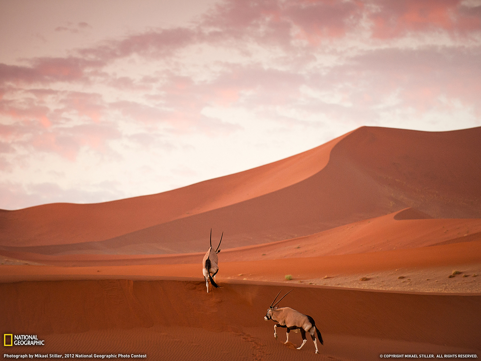 National Geographic: лучшие фотографии ноября National Geographic: лучшие фотографии ноября