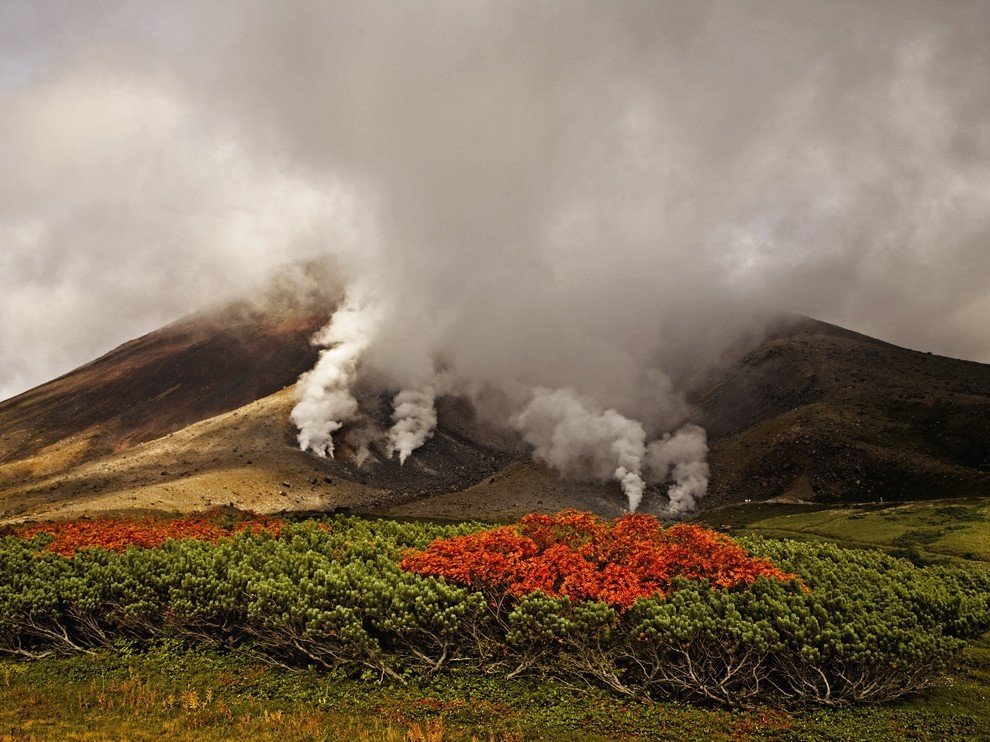 National Geographic: лучшие фотографии ноября National Geographic: лучшие фотографии ноября