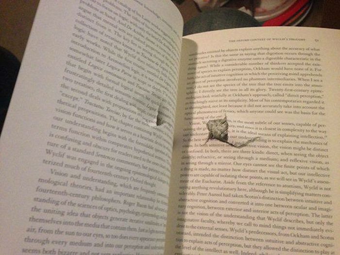 Студенту спас жизнь рюкзак с книгами