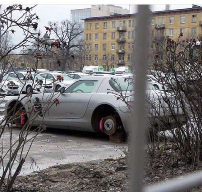 Порция картинок
