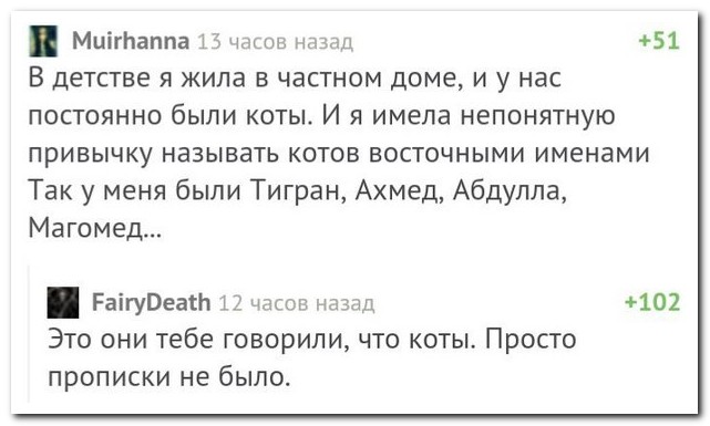 Смешные комментарии из социальных сетей