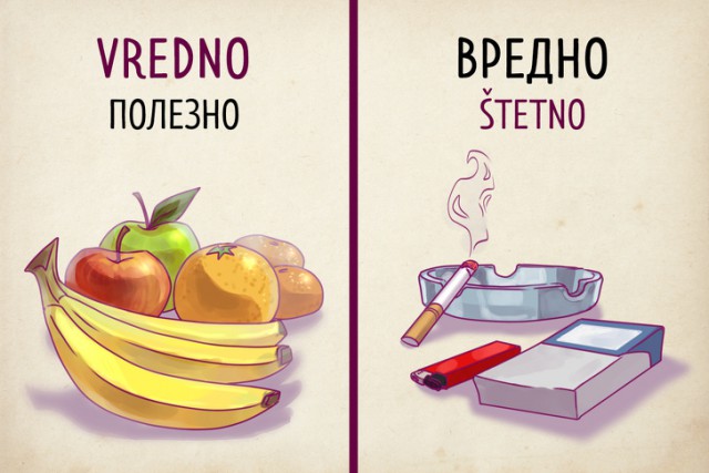 Почему сербский язык способен удивить русскоязычного туриста