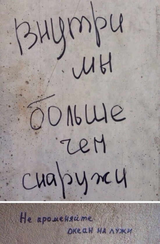 Прикольные картинки
