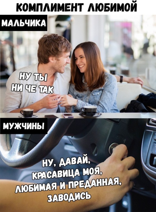 Прикольные картинки