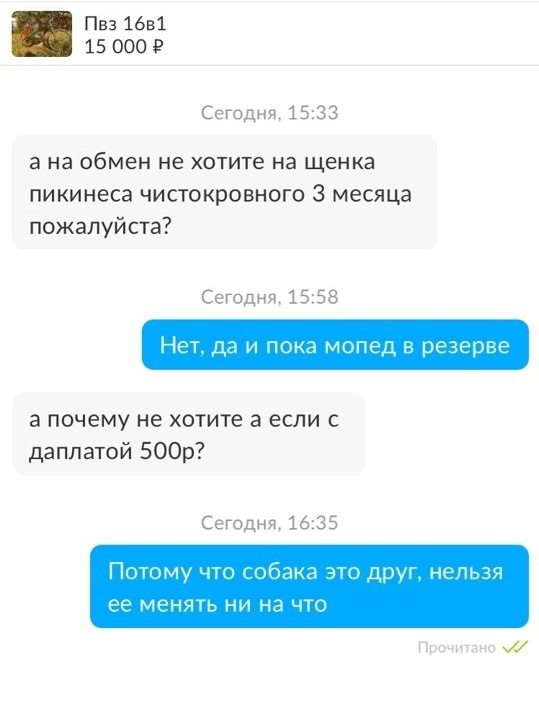 Прикольные картинки