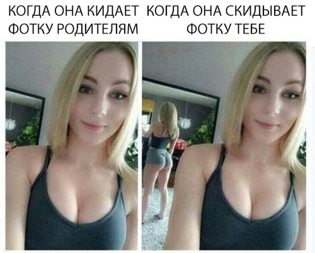 Прикольные картинки