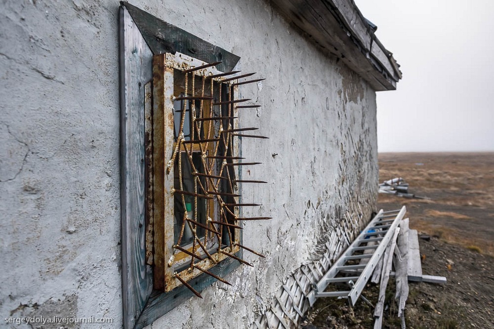 Остров Врангеля в фотографиях