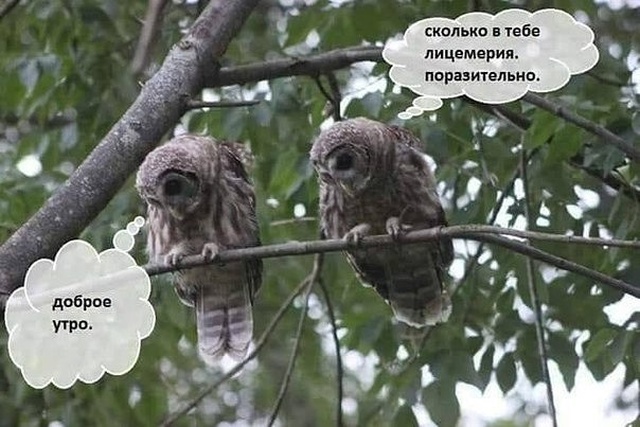 Юмор, шутки и картинки без смысловой нагрузки