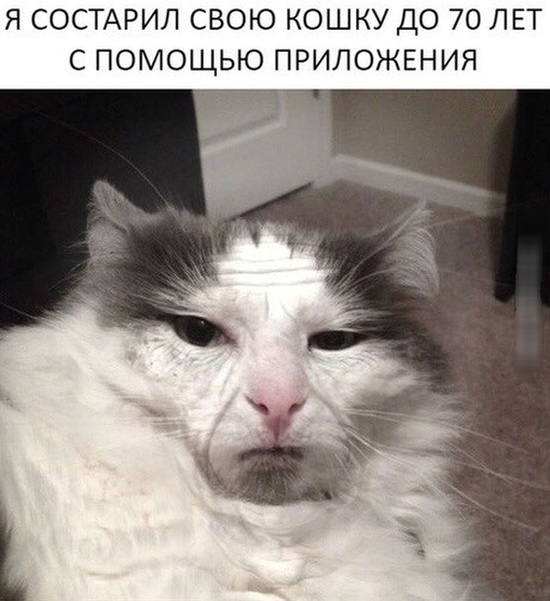 Юмор, шутки и картинки без смысловой нагрузки