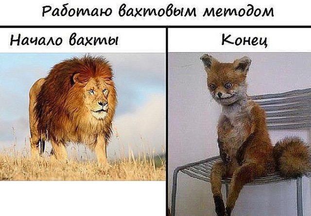 Юмор и шутки про вахтовиков