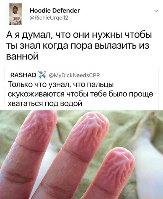 Высказывания и мысли из социальных сетей