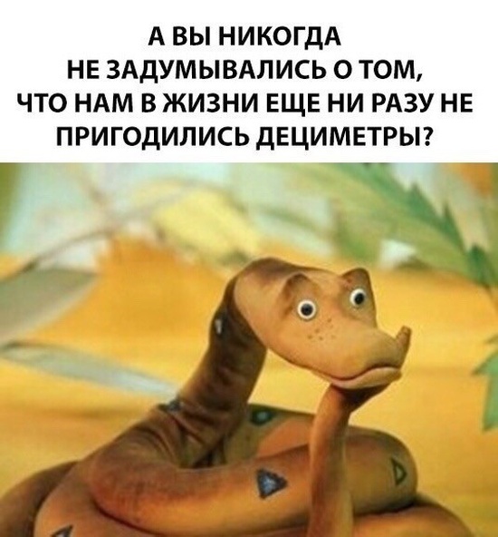 Высказывания и мысли из социальных сетей