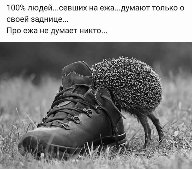 Высказывания и мысли из социальных сетей