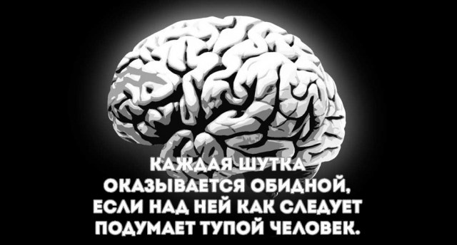 Высказывания и мысли из социальных сетей