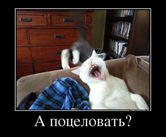 Демотиваторы