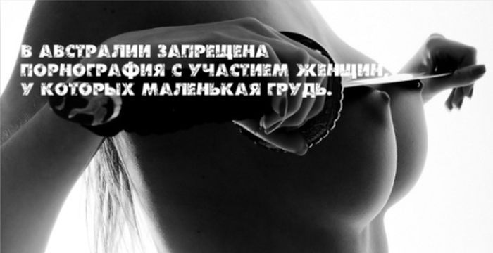 Интересные факты на фоне сексуальных девушек (25 фото)