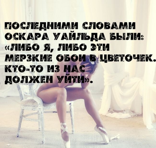 Интересные факты на фоне сексуальных девушек (25 фото)