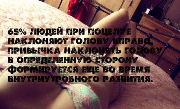 Интересные факты на фоне сексуальных девушек (25 фото)