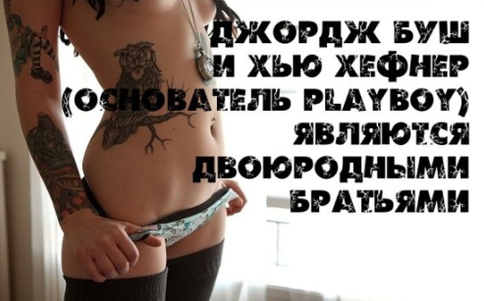 Интересные факты на фоне сексуальных девушек (25 фото)