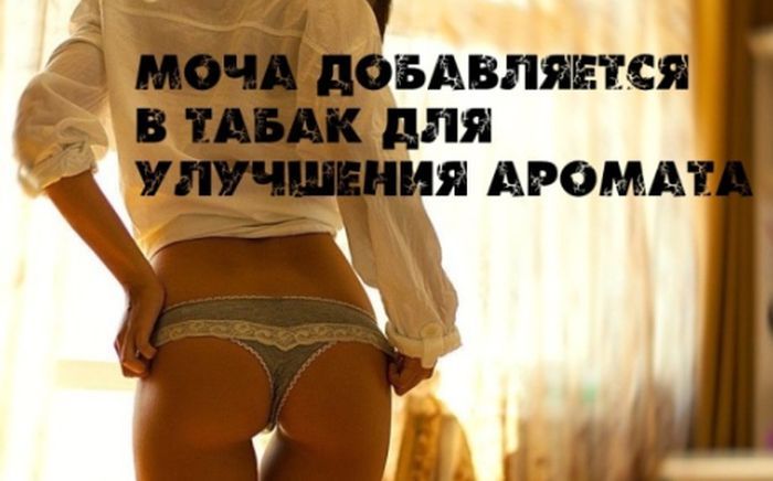 Интересные факты на фоне сексуальных девушек (25 фото)
