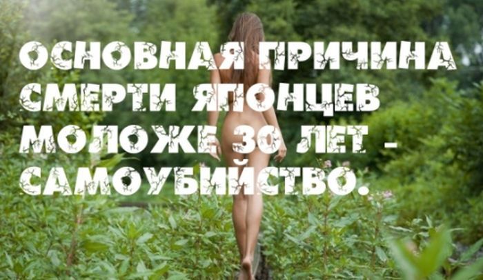 Интересные факты на фоне сексуальных девушек (25 фото)