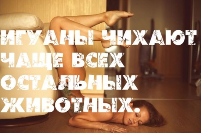 Интересные факты на фоне сексуальных девушек (25 фото)