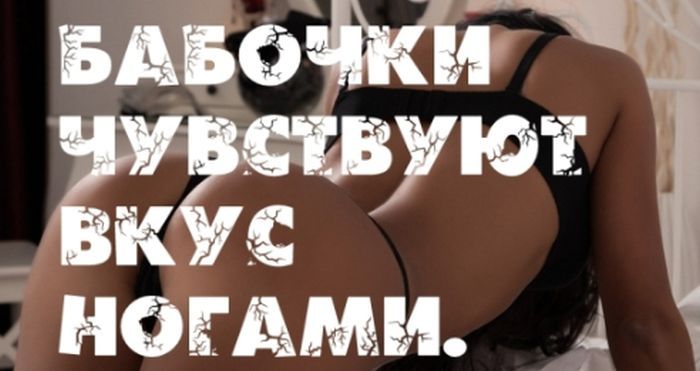 Интересные факты на фоне сексуальных девушек (25 фото)