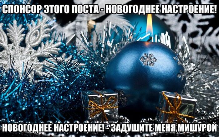 Прикольные картинки (80 фото)