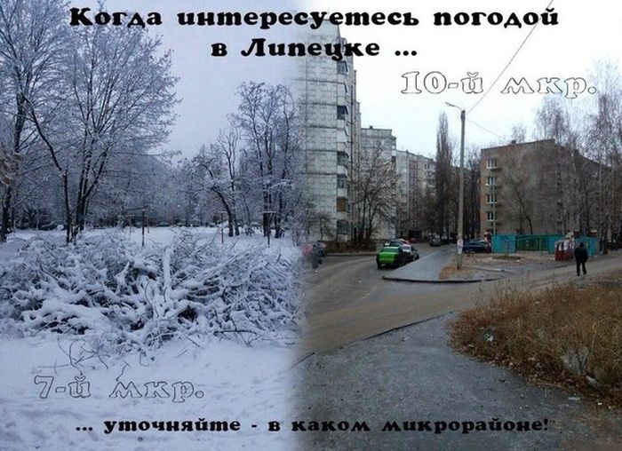 Прикольные картинки (80 фото)