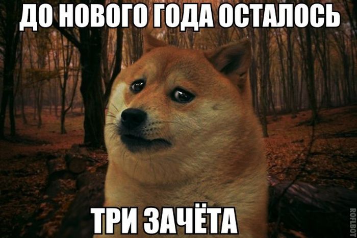 Прикольные картинки (80 фото)
