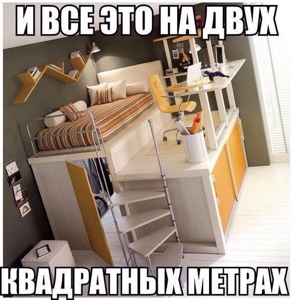 Прикольные картинки (80 фото)