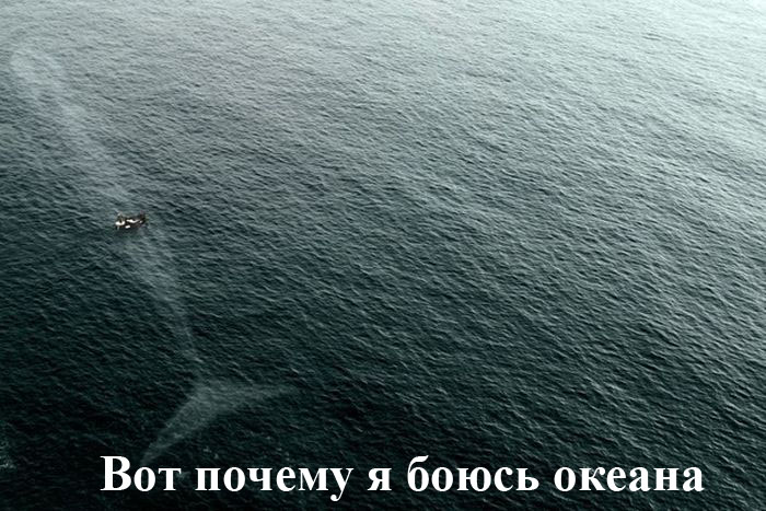 Прикольные картинки (80 фото)