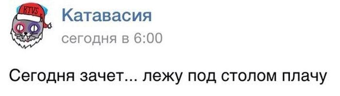 Прикольные картинки (80 фото)