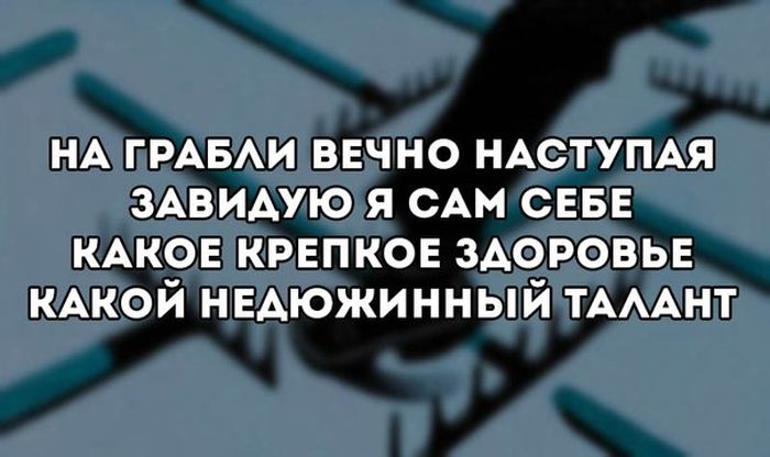 Прикольные картинки (80 фото)