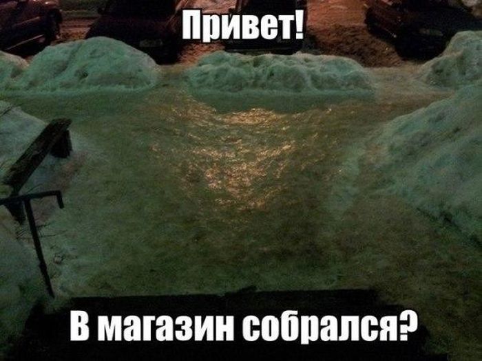 Прикольные картинки (80 фото)