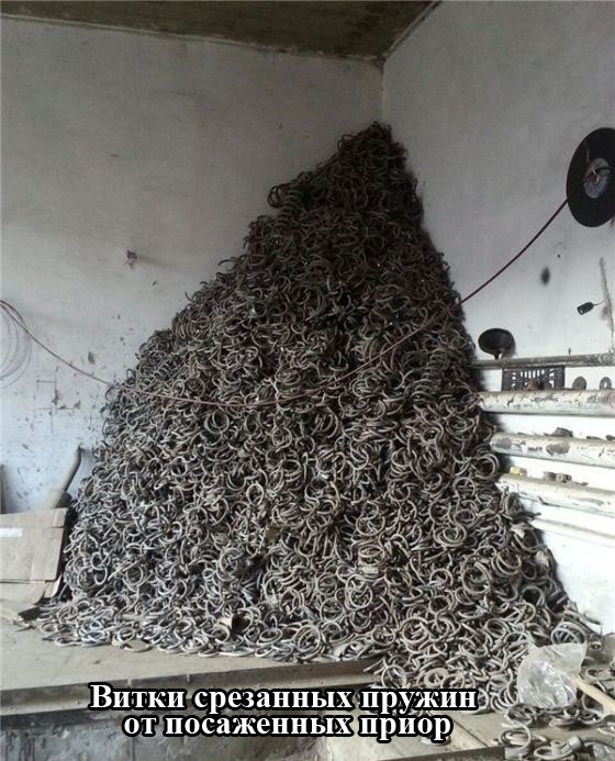 Прикольные картинки (80 фото)
