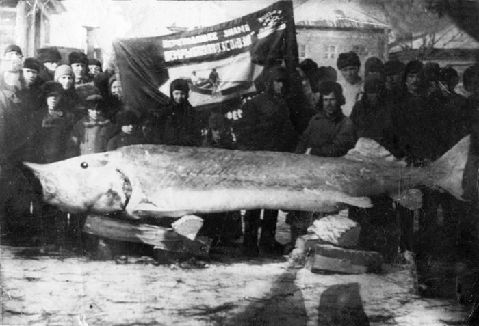 Подборка редких фотографий со всего мира