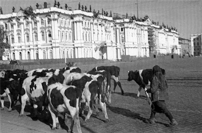 Подборка редких фотографий со всего мира