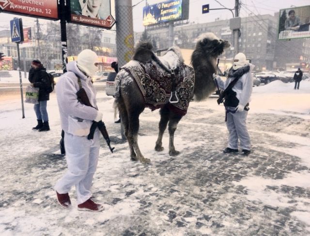 Прикольные картинки