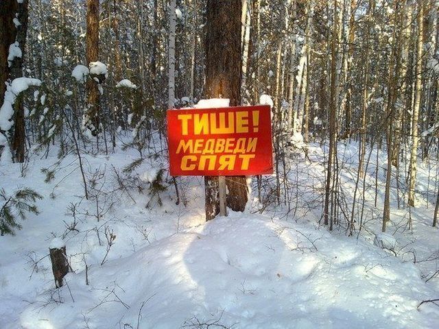 Прикольные картинки