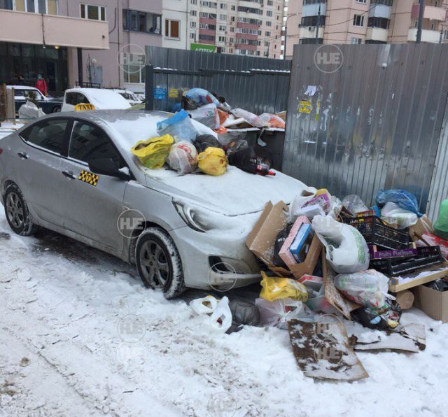Прикольные картинки