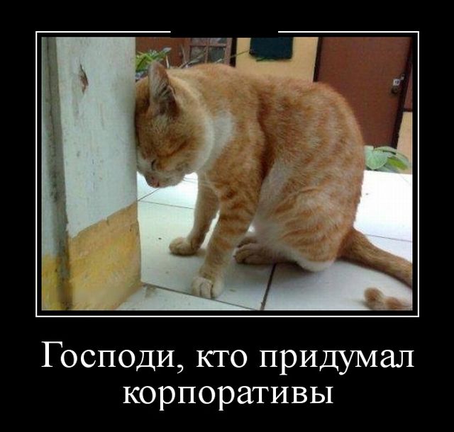 Демотиваторы
