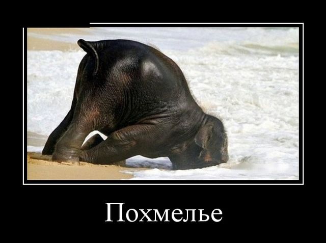 Демотиваторы