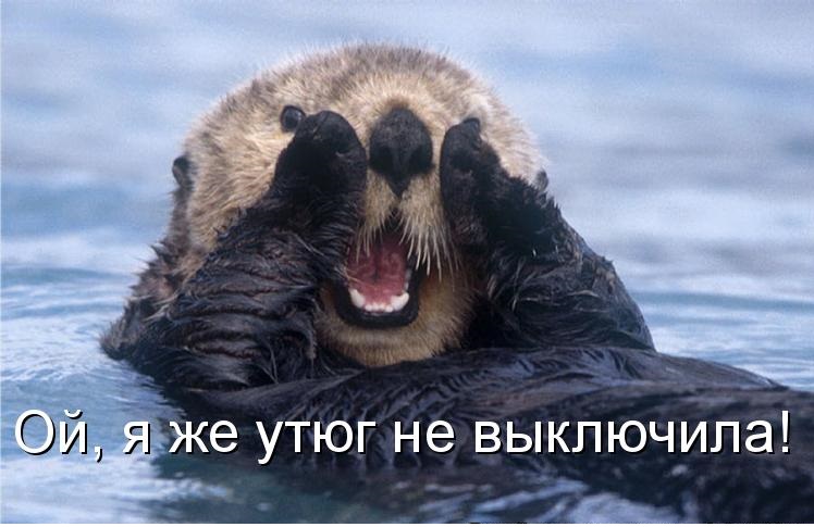 «Ой, а у меня утюг дома не выключен…!». Пользователи сети рассказывают о выходках своих партнеров, которые заставили их «вспомнить о срочных делах» прямо во время секса «Ой, а у меня утюг дома не выключен…!». Пользователи сети рассказывают о выходках своих партнеров, которые заставили их «вспомнить о срочных делах» прямо во время секса