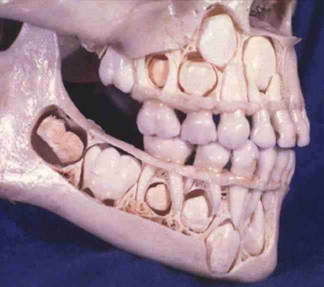 11 вещей, о которых все слышали, но мало кто видел
