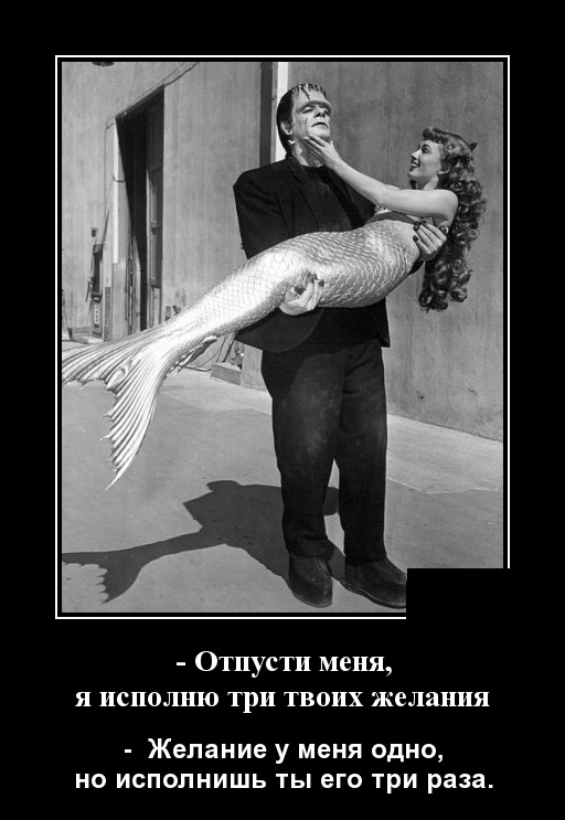 Демотиваторы