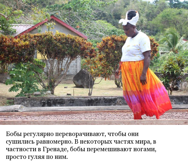 Как и из чего делают шоколад